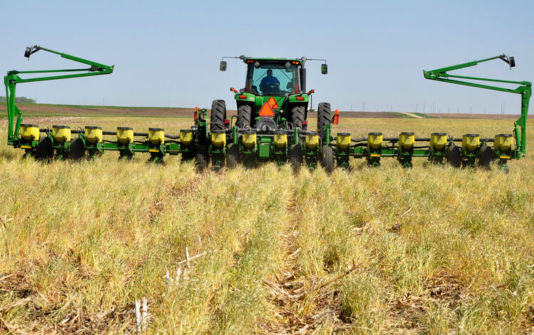 A tractor with a cab pulls a 16-row planter through a field containing a grain cover crop