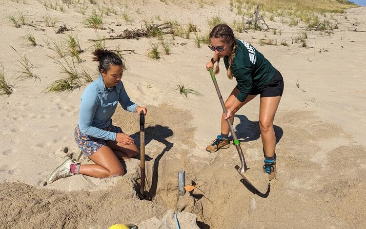 Two people on sandy beach digging up a fence post
