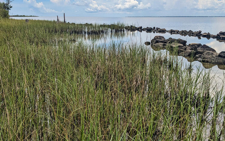 Marsh shoreline with a rock breakwater in the nearshore