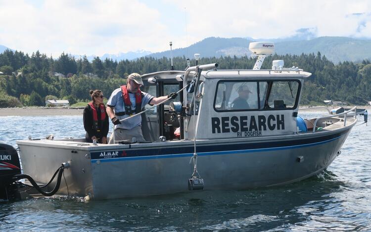 Photo showing collection of sediment samples used for grain size analysis