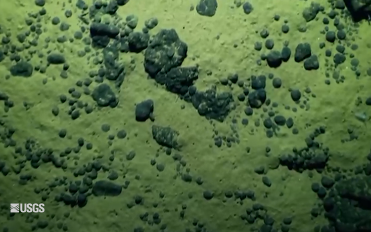 Polymetallic nodules on the seafloor offshore of American Samoa