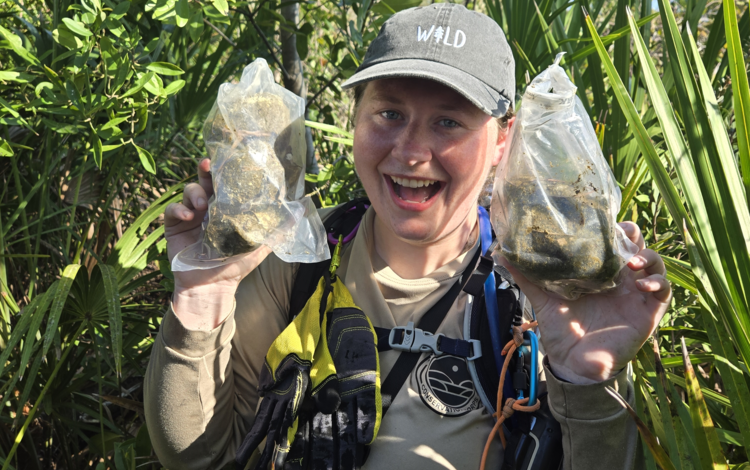 a person with field gear holds up two bags with brown contents, leaves and shrubs in the background