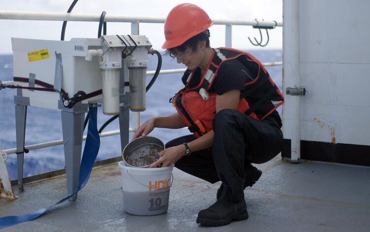 Scientist sifting through deep-sea mud for infauna during the Hawaii Abyssal Nodules Expedition