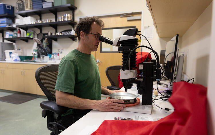 Scientists analyzing material extracted from sediment cores