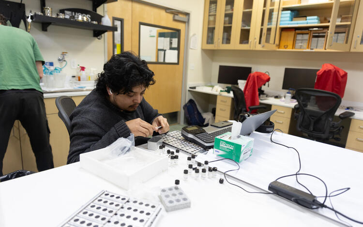 Scientists analyzing material extracted from sediment cores
