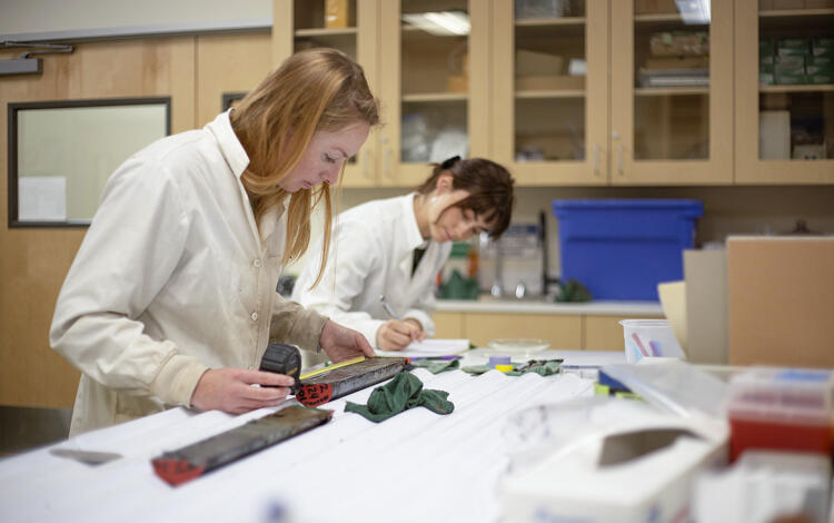 Scientists sub-sampling split sediment cores