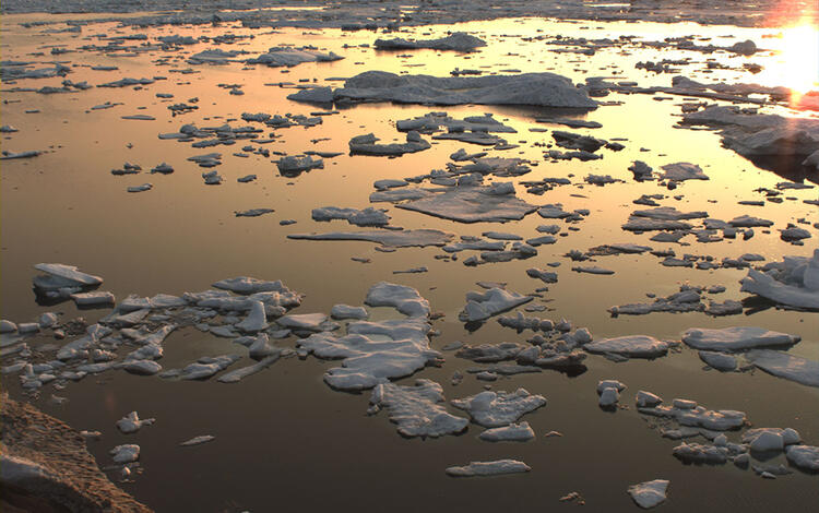 Sea ice at Nuvuk, Alaska on July 13 2025