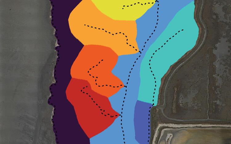 Figure showing surface of the Whales Tail Marsh colored to segment