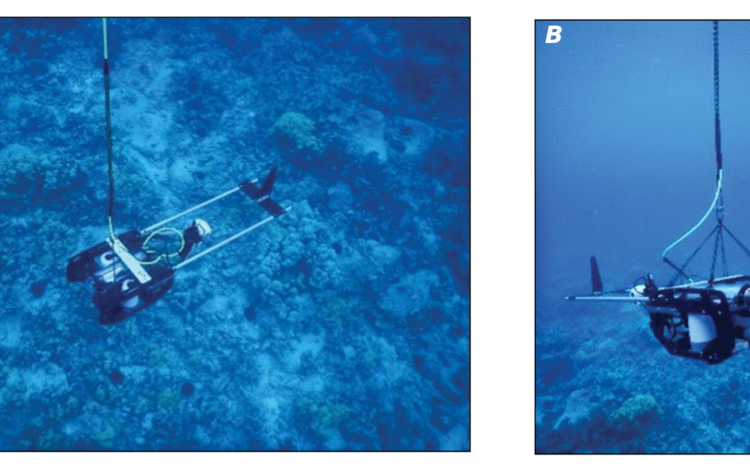 Underwater photos of the tethered drop-camera system