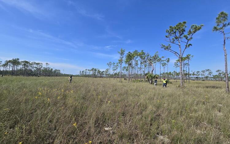 three people stand in a large prairie, with trees sparsely distributed throughout and blue sky above