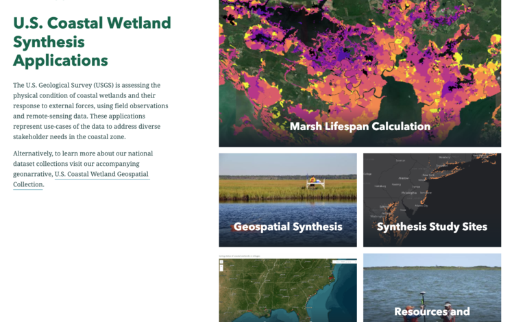 Screenshot shows 5 linked topics on the Coastal Wetland Synthesis Applications geonarrative webpage.