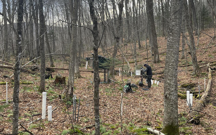 A man stands in the woods surrounded by white pipes sticking out of the ground.