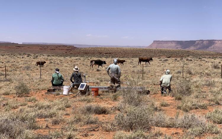 Four people sit near monitoring equipment a look at cattle.