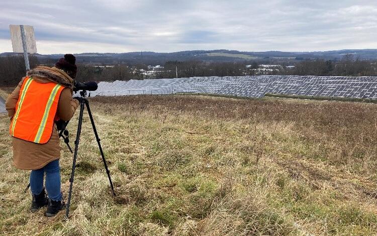 Graduate student is researching birds at a solar field.