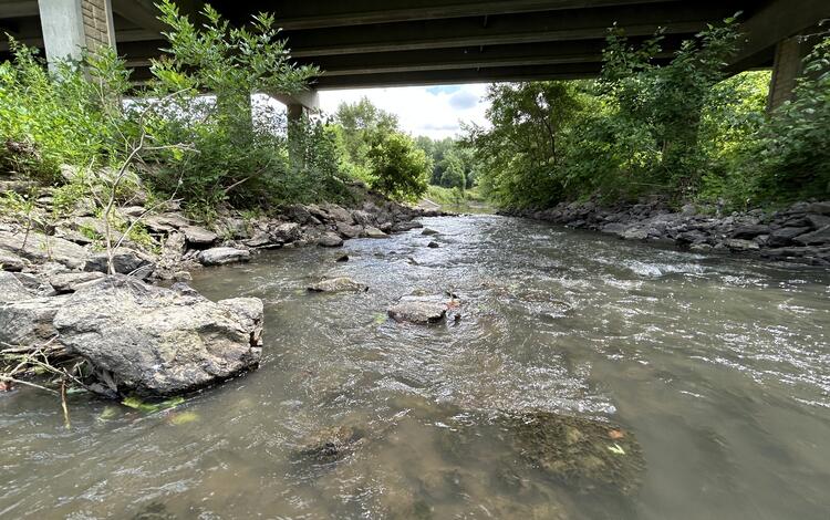 View of stream under highway overpass