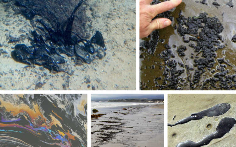 Collage of images showing natural offshore oil seepage on the California Coastline