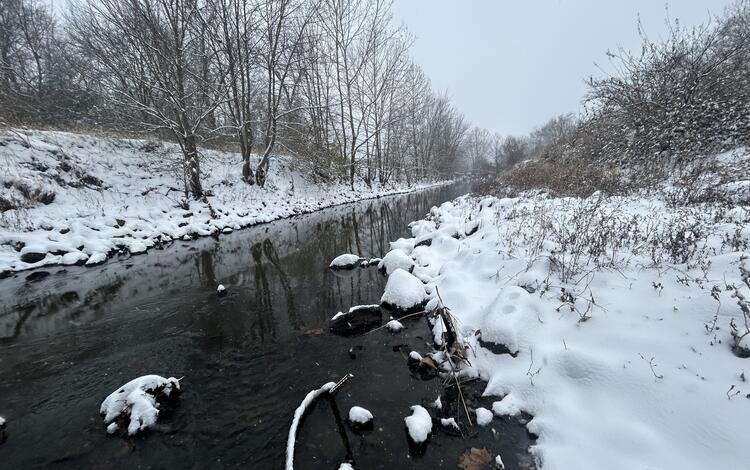 Snow blankets the shore of a river in winter