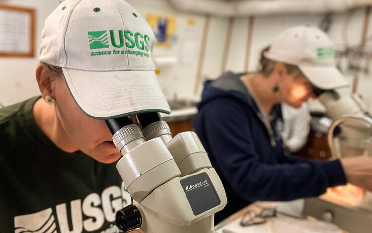 Two women looking through microscopes in a lab.