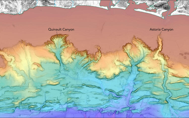 Map illustration of the seafloor off the continental coastline, that reveals seafloor features like submarine canyons.