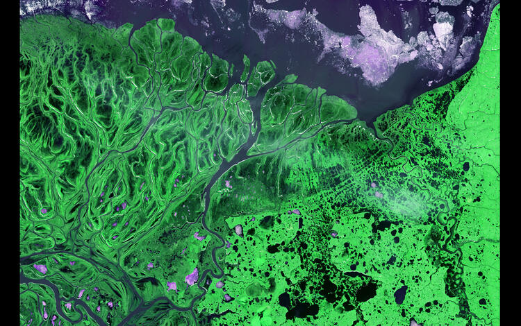 Earth As art image Yukon Delta