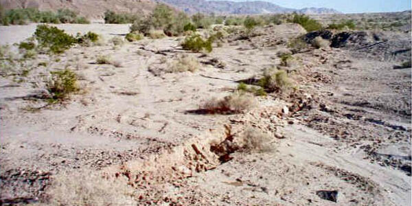 www.usgs.gov