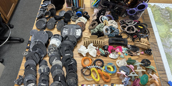 Frequent finds collected in summer 2026 by the Yellowstone National Park Geology Team