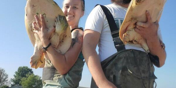 Researchers holding freshwater turtles | U.S. Geological Survey