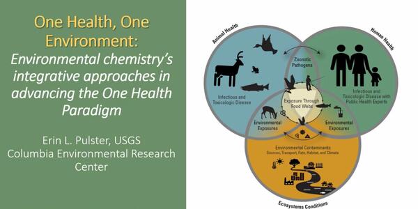 One Health, One Environment: Environmental chemistry's integrative