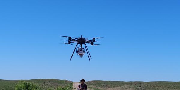 Detecting a Grassland Invader, Above and Below Ground