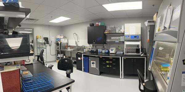 Summer 2026 Student Research Opportunities at the Upper Midwest Water Science Center