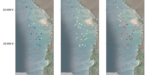 Repeated Marine Heatwaves Have Dramatically Reshaped Coral Reefs in Hawaiʻi National Parks