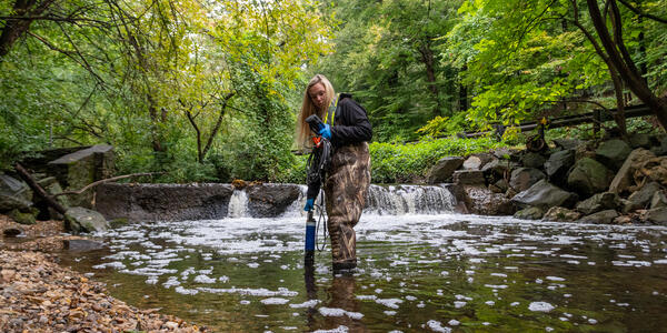 Research shows Chesapeake Bay streams are getting saltier