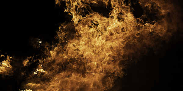 Causal Analysis of Fire Regime Drivers