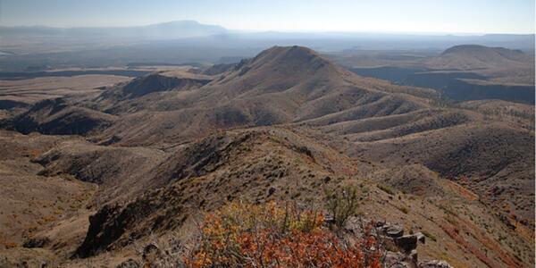 Coverage image for: FORT Science in Action 2026, Part 7: Using fire history to inform fire management and future wildfire projections in the Western U.S.