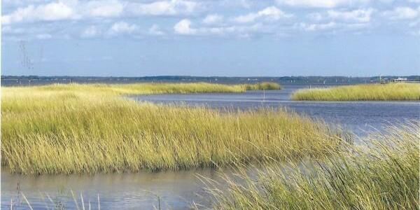 Celebrating American Wetlands Month with USGS Wetland Science