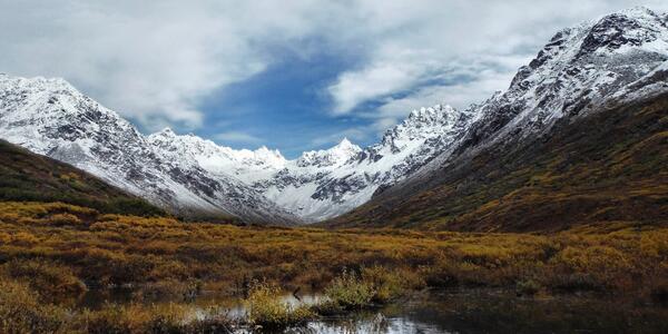 The Resist-Accept-Direct (RAD) Framework | U.S. Geological Survey