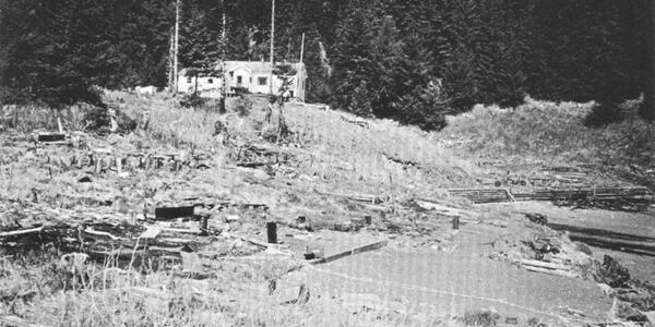 Chenega Village after tsunami waves hit in 1964 | U.S. Geological