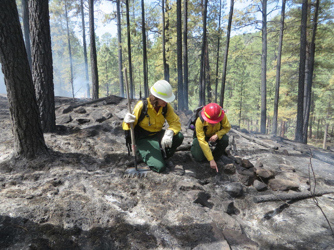 Webinar Series - Fueling Discovery with USGS Wildland Fire Science