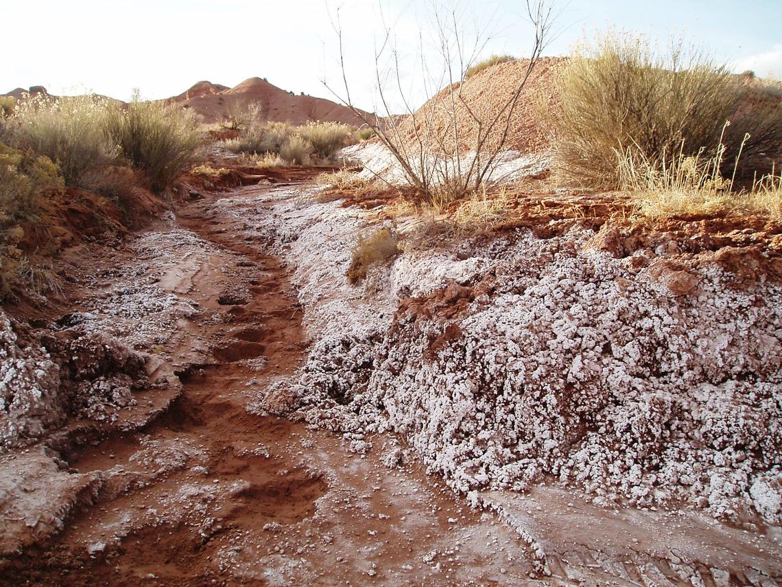New AI Tool Predicts Nationwide Droughts 90 Days in Advance