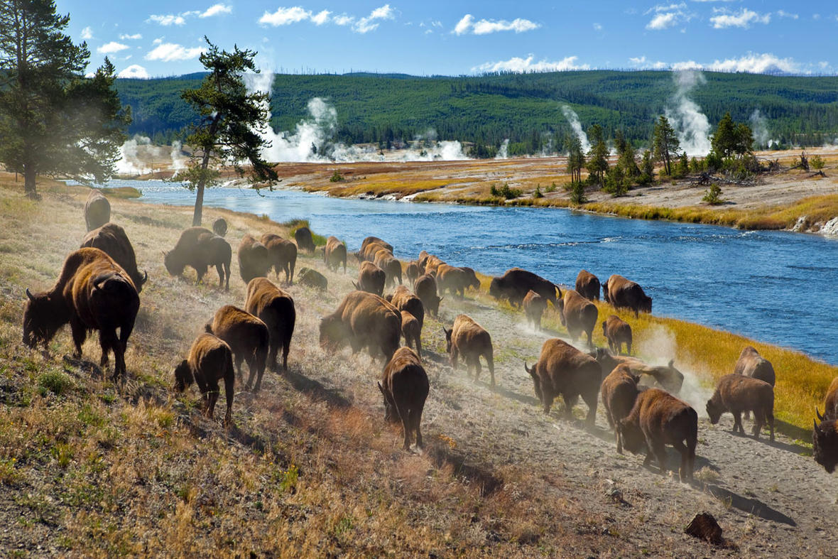 Why are there so many earthquakes at Yellowstone? | U.S. Geological Survey