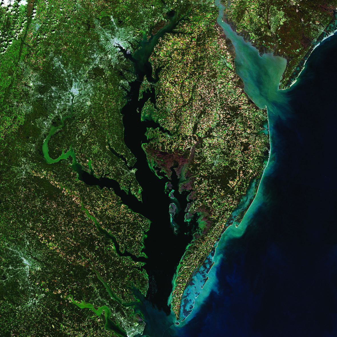 What are the base map services (or URLs) used in The National Map? | U ...