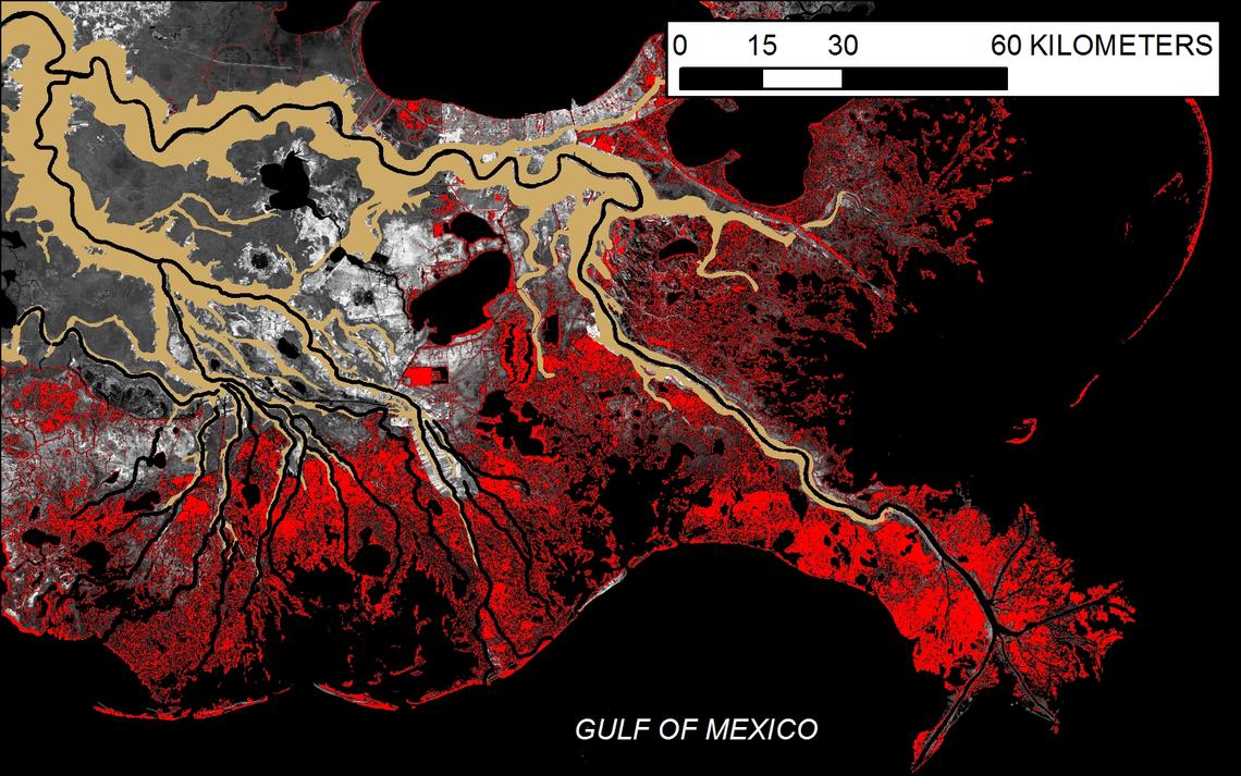 Subsidence and Wetland Loss Related to Fluid Energy Production, Gulf Coast  Basin | U.S. Geological Survey, image size:1140x713