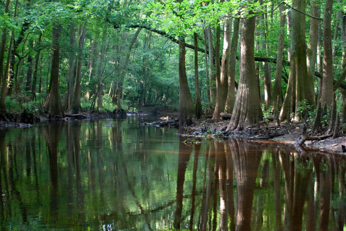 Geology of Congaree National Park