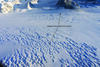 Collapsed snow bridges on crevasse field on the Hubbard Glacier between McArthur Peak and Mt. King George.