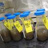 Sediment samples from the Klamath River near Keno