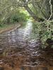 PFAS Discharge to Streams