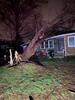 Tree falls on exterior of house