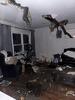 Tree pierces through interior of residential ceiling 