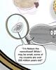 Microscopic Proxies 10