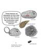 Microscopic Proxies 7
